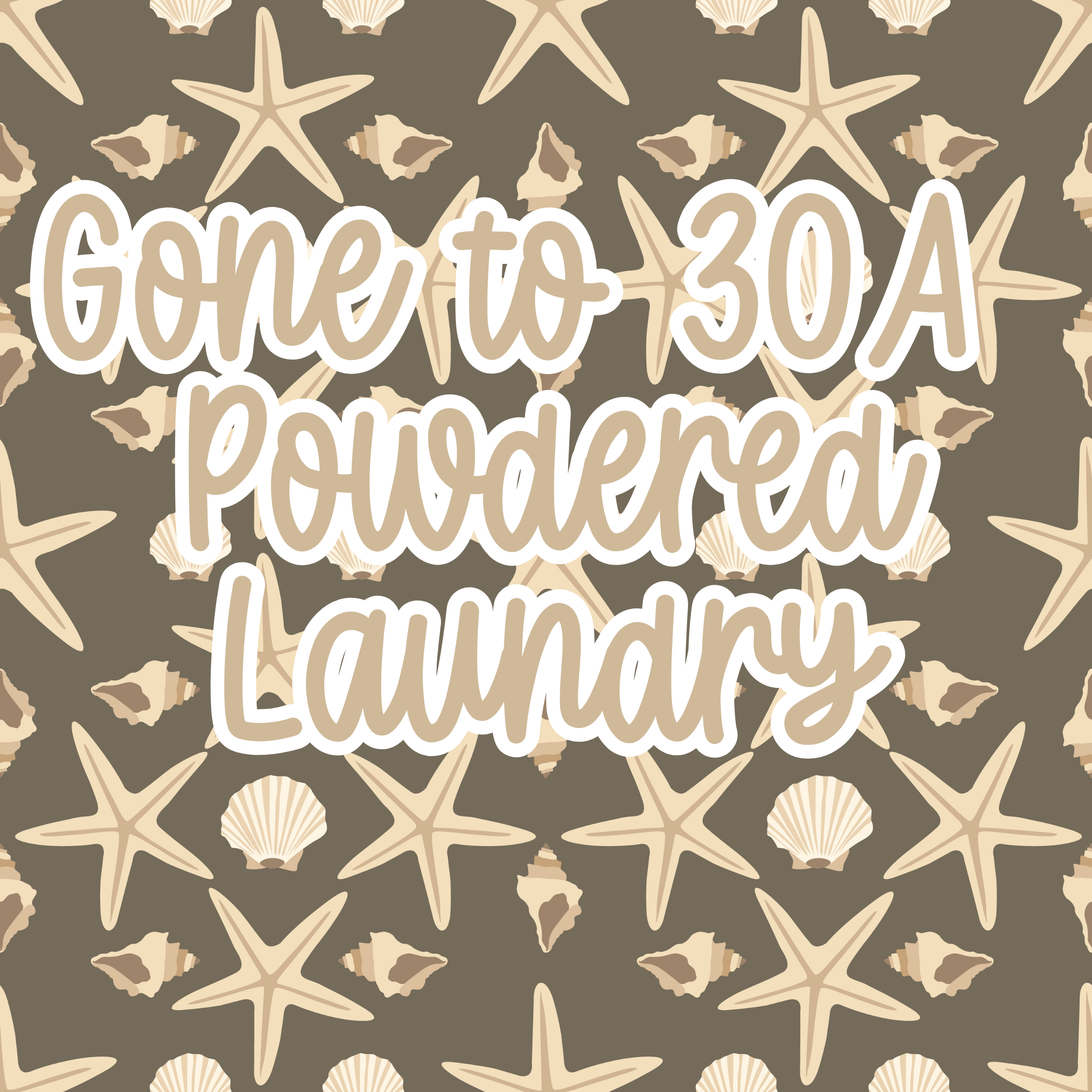 Gone To 30A Powdered Laundry