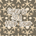 Gone To 30A Mop Soap